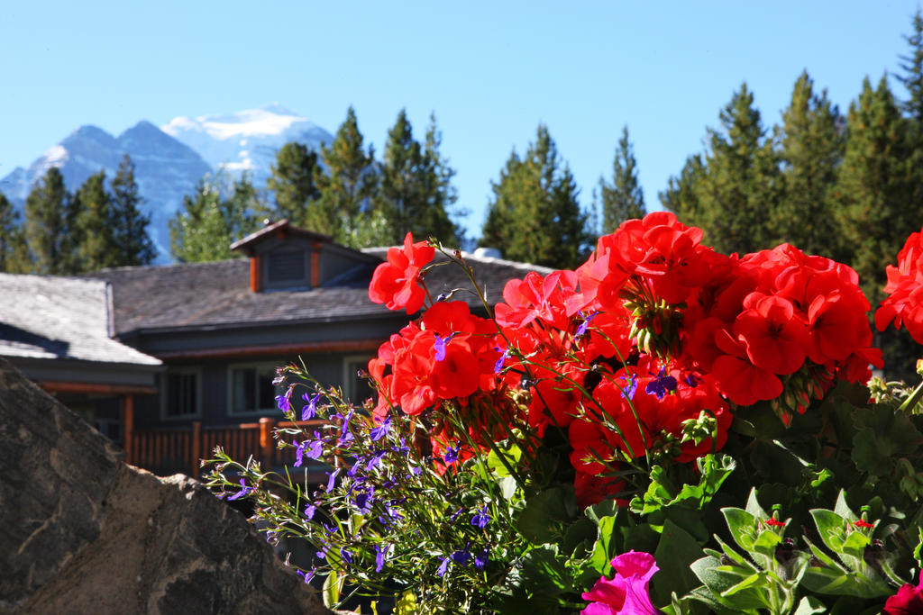 Mountaineer Lodge Лейк-Луиз Экстерьер фото